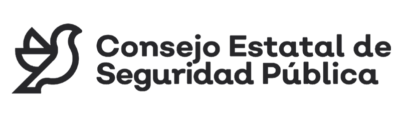 VSG seguridad privada CESP2