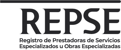 VSG seguridad privada REPSE2